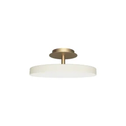 Asteria Plus medium