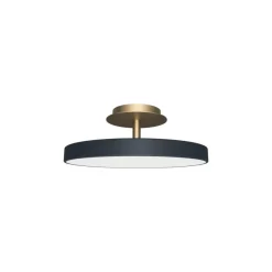 Asteria Plus medium