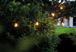 Garden Garland utendørs lysslynge 6 meter 10 lys IP65 startsett - Svart