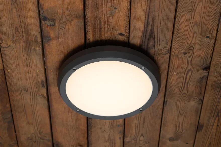 Luno taklampe 30 cm utendørs IP65 E27 - Grafitt grå