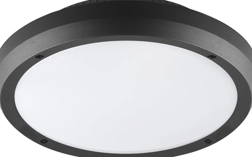 Luno taklampe 30 cm utendørs IP65 E27 - Grafitt grå