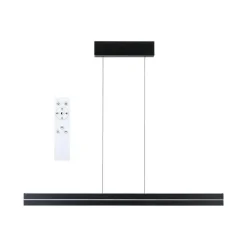 Raiko takpendel 19/6W 2700-6500 Kelvin RGB med fjernkontroll